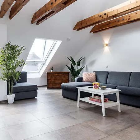 Zum Roten Lamm- By Living Timeless Apartament *